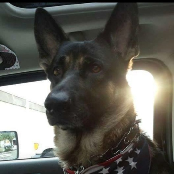 Meet your Posher, Sue - Picture 5 of 7